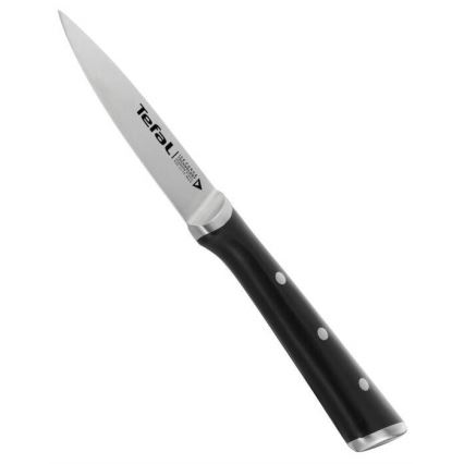 Tefal - RVS uitsteekmes ICE FORCE 9 cm glanzend chroom/zwart