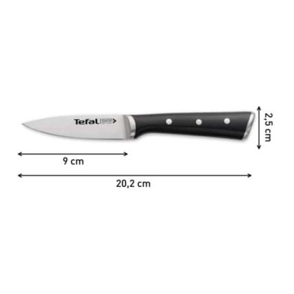 Tefal - RVS uitsteekmes ICE FORCE 9 cm glanzend chroom/zwart