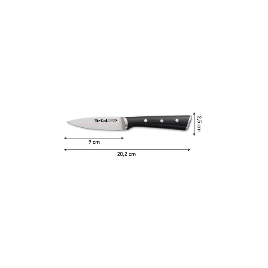 Tefal - RVS uitsteekmes ICE FORCE 9 cm glanzend chroom/zwart