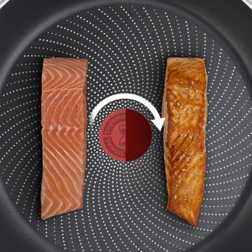 Tefal - Koekenpan DELICIOUS 20 cm