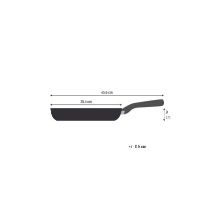 Tefal - Koekenpan EXTREME 24 cm, roestvrij staal