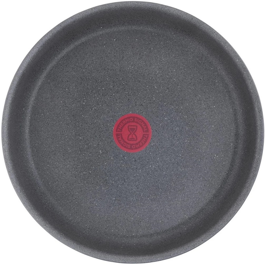 Tefal - Koekenpan INGENIO NATURAL FORCE 24 cm