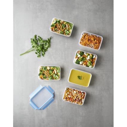 Tefal - Lot de 6 boîtes de conservation de 0,8 l MASTER SEAL FRESH, bleu