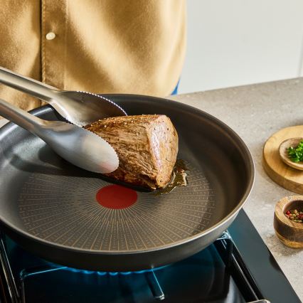 Tefal - Pannenset INGENIO Excellence Fusion 11-delig