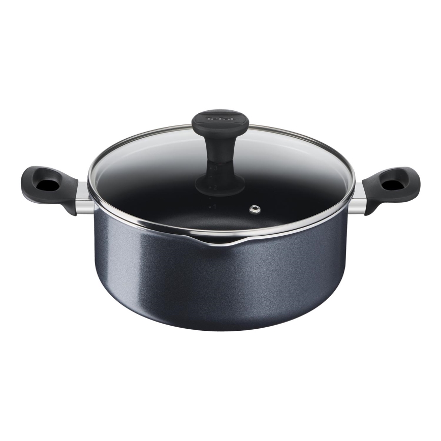 Tefal - Pot met deksel FAMILY DAY 24 cm