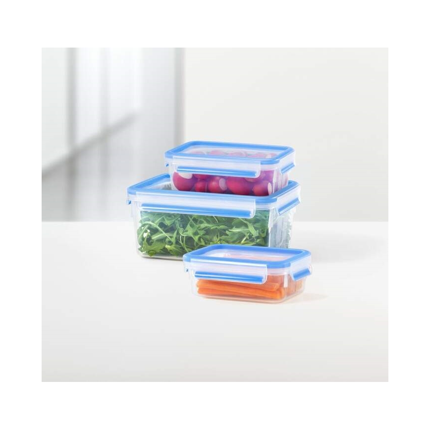 Tefal - Set voedselcontainers 5 st. MASTER SEAL FRESH blauw