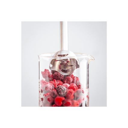 Tefal - Staafmixer QUICKCHEF 1000W/230V zwart