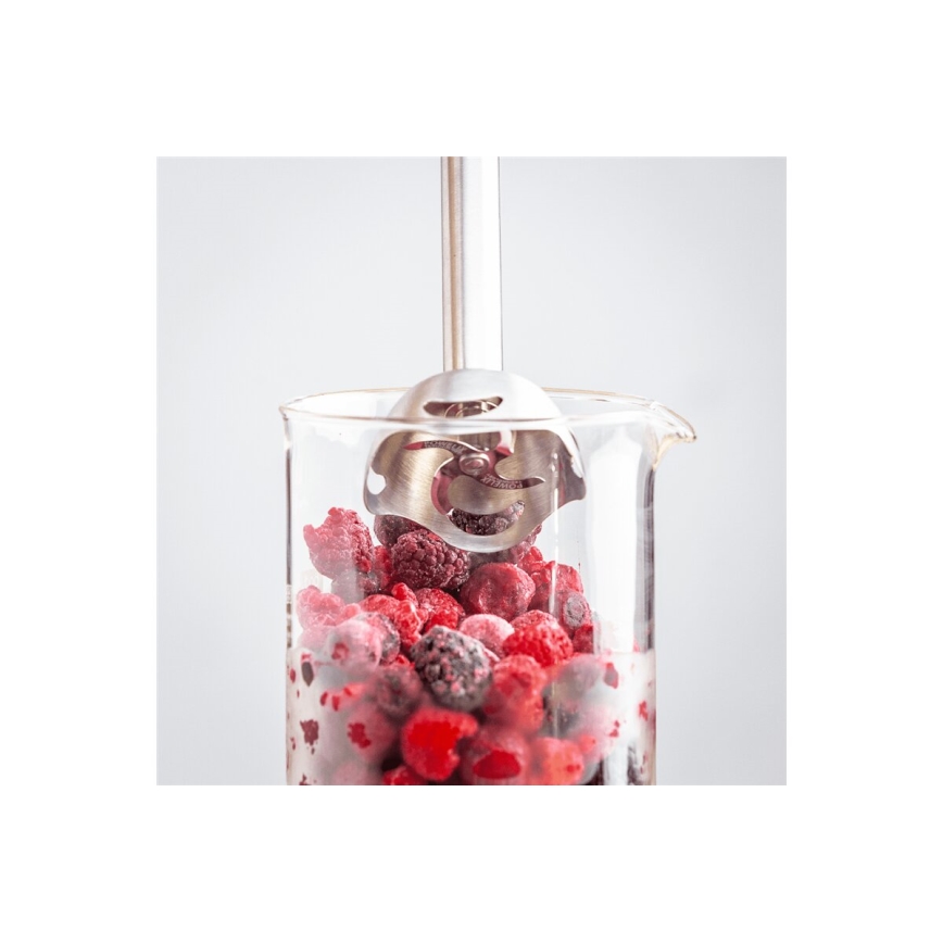 Tefal - Staafmixer QUICKCHEF 1000W/230V zwart
