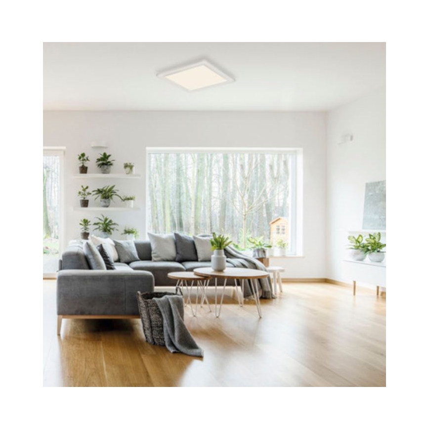Telefunken 308606TF - LED Bevestigd lichtpaneel met sensor LED/13W/230V