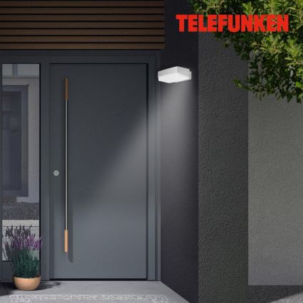 Telefunken 312204TF - LED Wandlamp voor buiten LED/14W/230V IP44