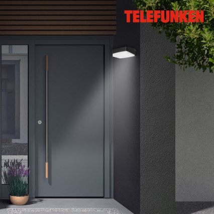 Telefunken 312205TF - Applique murale LED extérieure LED/14W/230V IP44