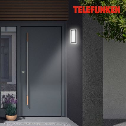 Telefunken 313605TF - LED Wandlamp voor buiten LED/16W/230V IP44 zwart