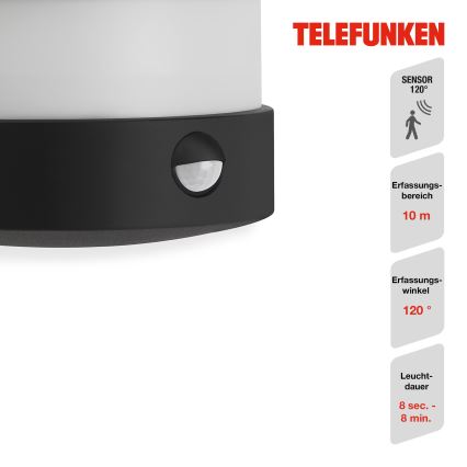 Telefunken 315505TF - LED Wandlamp voor buiten met sensor LED/12W/230V IP44 zwart