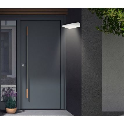 Telefunken - Applique murale d'extérieur LED/10W/230V IP44 blanche