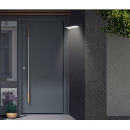 Telefunken - Applique murale extérieure LED/10W/230V IP44 noire