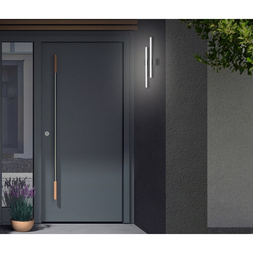 Telefunken - LED buitenwandlamp 2xLED/4W/230V IP44 zwart