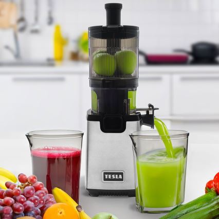 TESLA Electronics SlowJuicer Deluxe - Sapcentrifuge met lage snelheid 250W/230V roestvrij/zwart