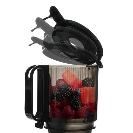 TESLA Electronics SlowJuicer Deluxe - Sapcentrifuge met lage snelheid 250W/230V roestvrij/zwart