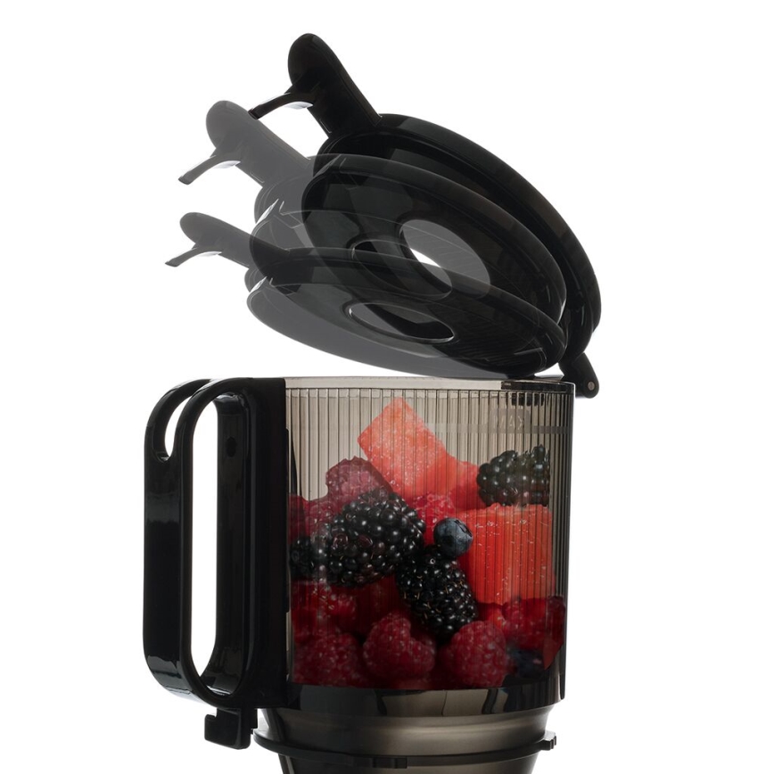 TESLA Electronics SlowJuicer Deluxe - Sapcentrifuge met lage snelheid 250W/230V roestvrij/zwart
