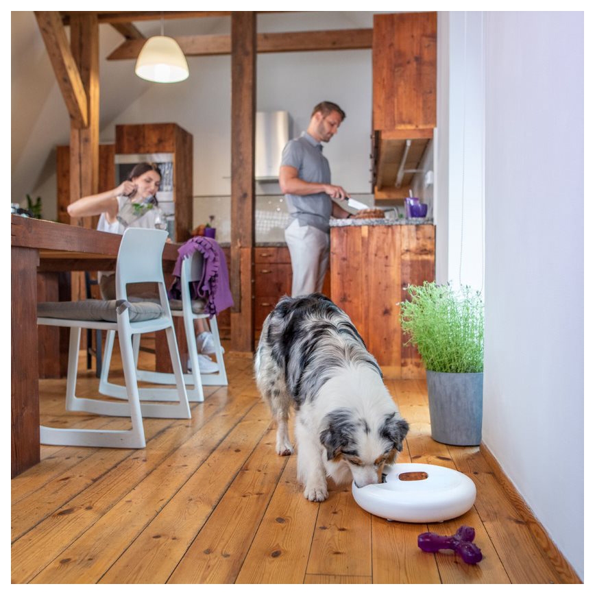 TESLA Smart - Distributeur automatique connecté avec caméra pour animaux de compagnie 4 l 5V/3xLR20 Wi-Fi