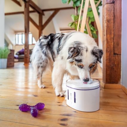 TESLA Smart - Fontaine connectée pour animaux de compagnie avec stérilisation UV 2 l 5V Wi-Fi
