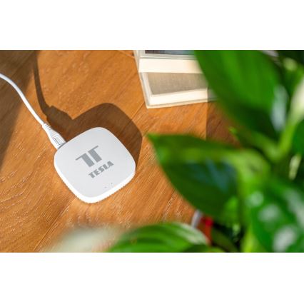 TESLA Smart - Passerelle intelligente Hub Smart Zigbee Wi-Fi