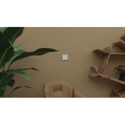 TESLA Smart - Slimme draadloze huischakelaar 2P 1xCR2430 ZigBee
