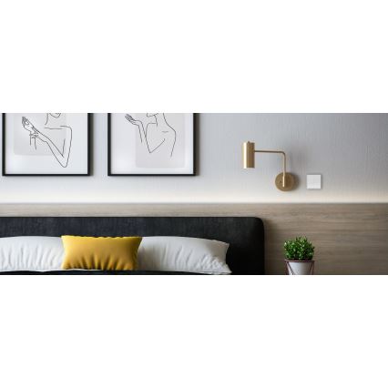 TESLA Smart - Slimme draadloze huischakelaar 2P 1xCR2430 ZigBee