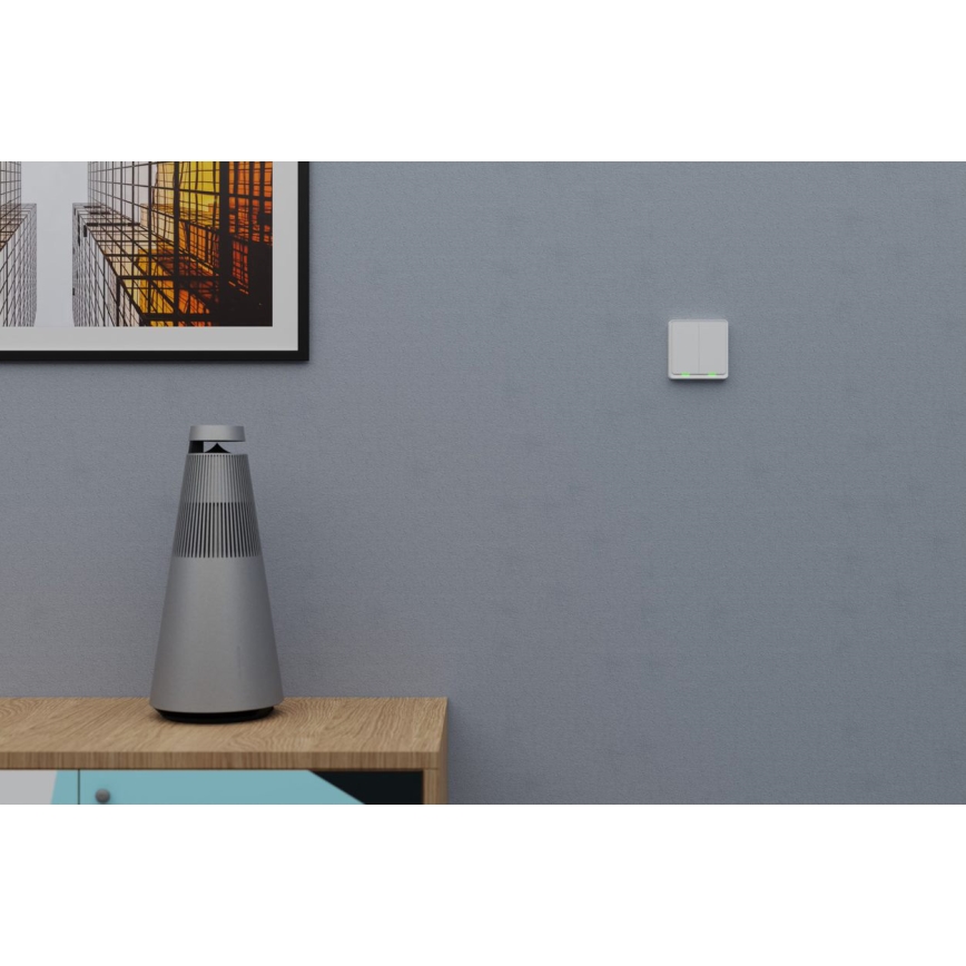 TESLA Smart - Slimme draadloze huischakelaar 2P 1xCR2430 ZigBee