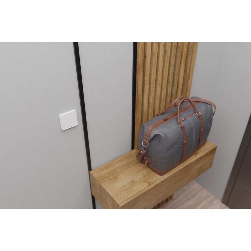 TESLA Smart - Slimme draadloze huischakelaar 2P 1xCR2430 ZigBee