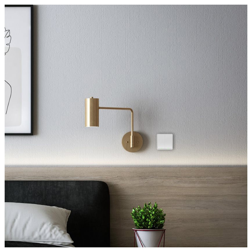 TESLA Smart - Slimme draadloze huischakelaar 2P 1xCR2430 ZigBee