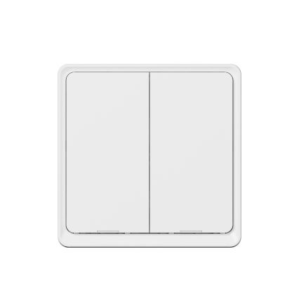 TESLA Smart - Slimme draadloze huischakelaar 2P 1xCR2430 ZigBee