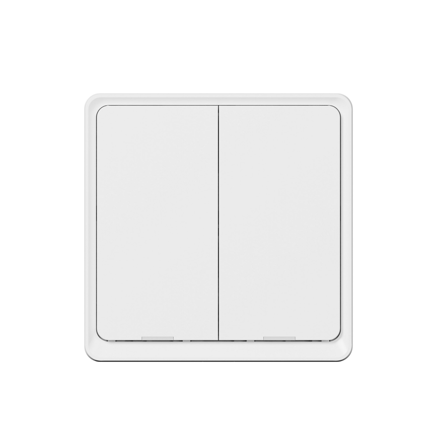 TESLA Smart - Slimme draadloze huischakelaar 2P 1xCR2430 ZigBee