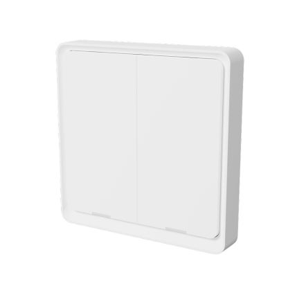 TESLA Smart - Slimme draadloze huischakelaar 2P 1xCR2430 ZigBee