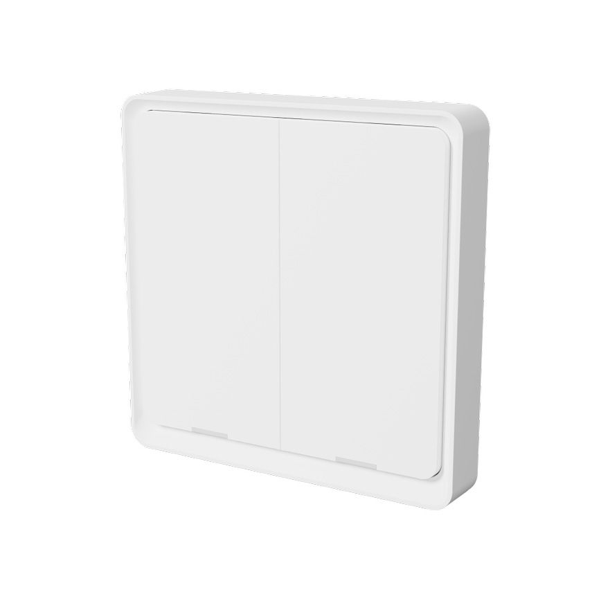 TESLA Smart - Slimme draadloze huischakelaar 2P 1xCR2430 ZigBee