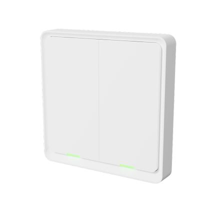 TESLA Smart - Slimme draadloze huischakelaar 2P 1xCR2430 ZigBee