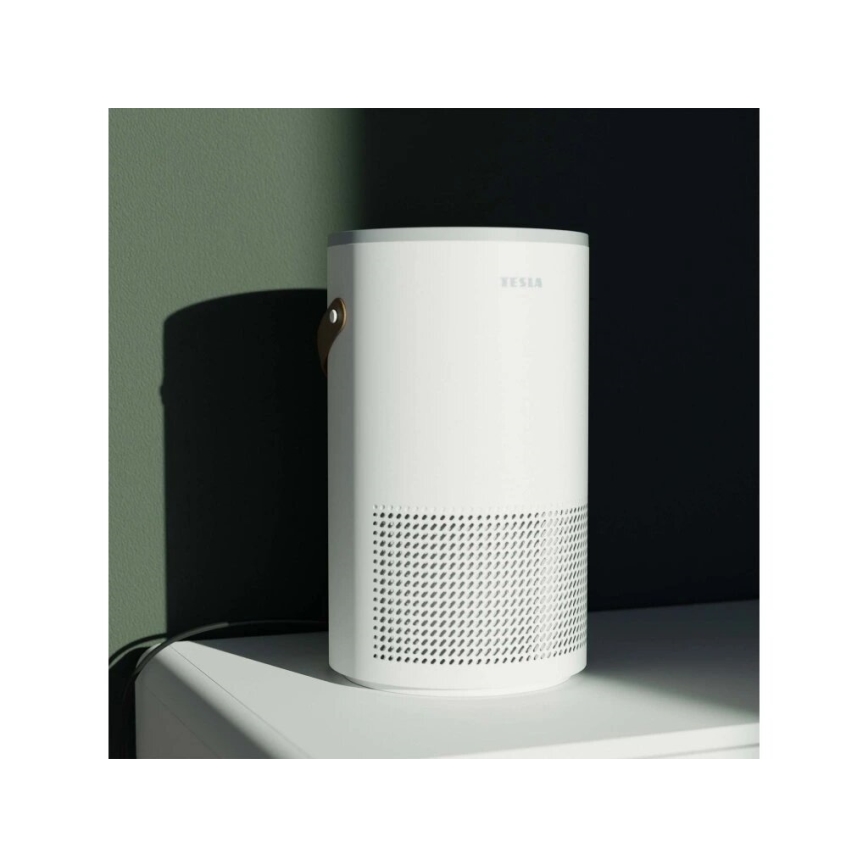 TESLA Smart - Slimme luchtreiniger met ionisatie en ventilator 48W/230V 300 m³/h Wi-Fi