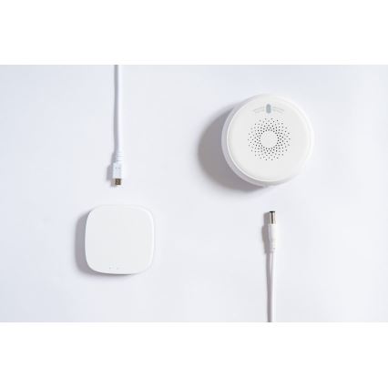 TESLA Smart - Slimme Rook Sensor 1xCR123A Zigbee