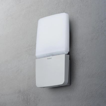 theben - Projecteur mural LED/11W/230V argenté IP55