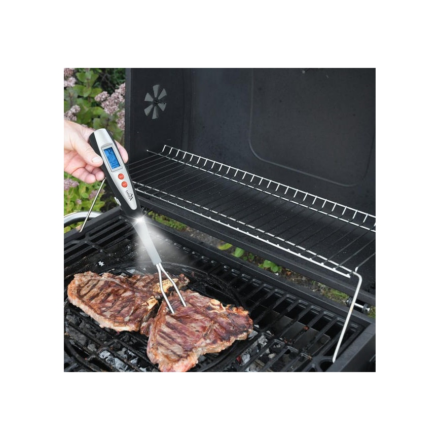 Thermomètre à viande numérique 0-100°C 2xAAA