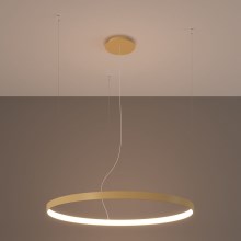 Thoro TH.174 - LED Hanglamp aan een koord RIO LED/50W/230V CRI90 3000K diameter 78 cm goud