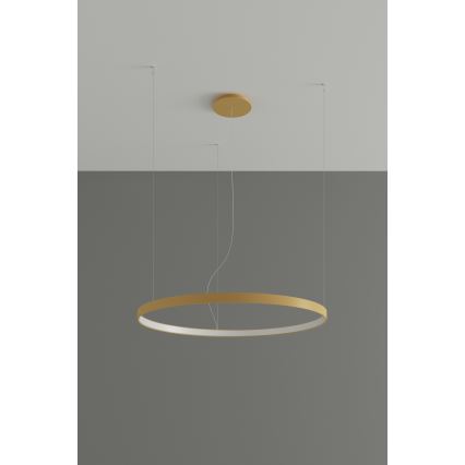 Thoro TH.174 - LED Hanglamp aan een koord RIO LED/50W/230V CRI 90 3000K diameter 78 cm goud