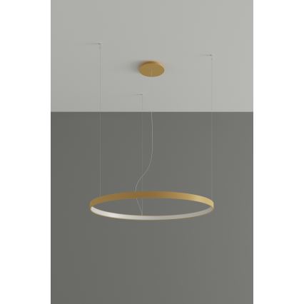 Thoro TH.174 - LED Hanglamp aan een koord RIO LED/50W/230V CRI90 3000K diameter 78 cm goud