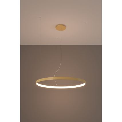 Thoro TH.174 - LED Hanglamp aan een koord RIO LED/50W/230V CRI 90 3000K diameter 78 cm goud