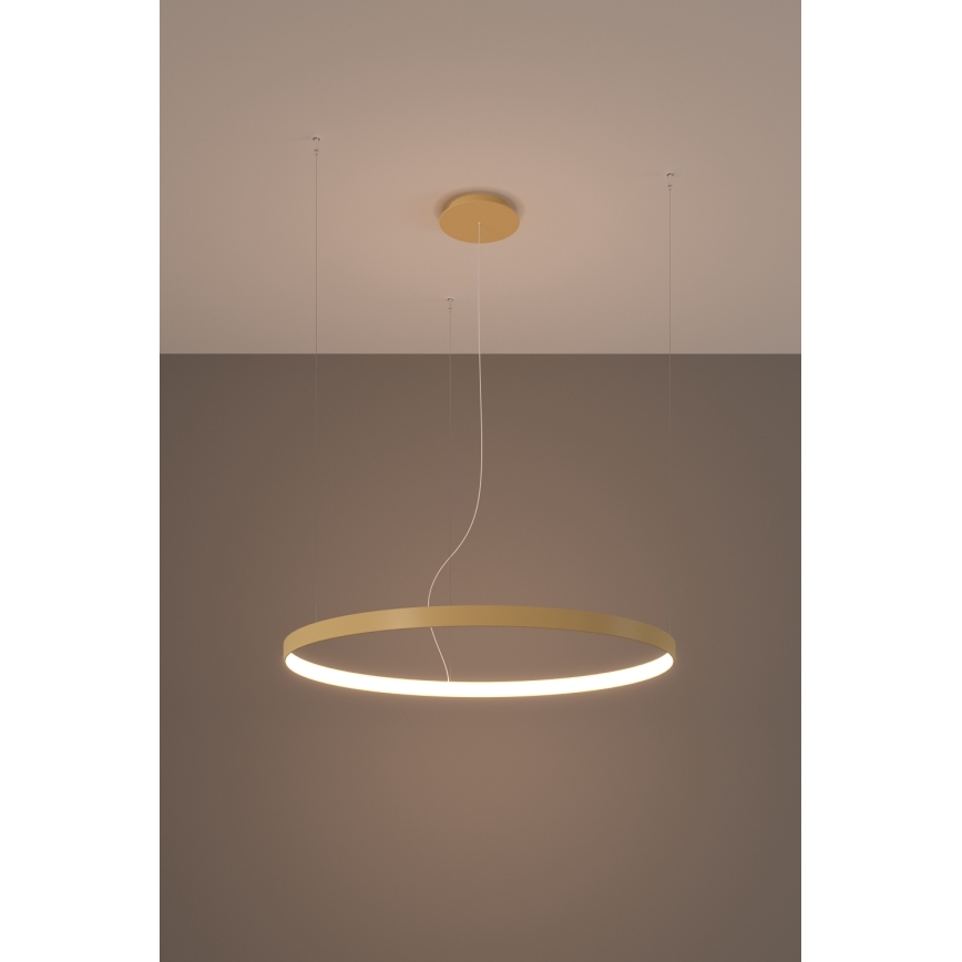 Thoro TH.174 - LED Hanglamp aan een koord RIO LED/50W/230V CRI 90 3000K diameter 78 cm goud