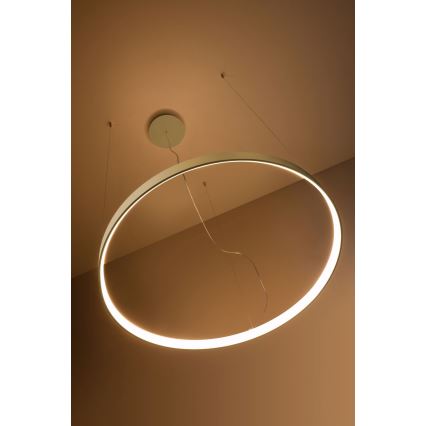 Thoro TH.174 - LED Hanglamp aan een koord RIO LED/50W/230V CRI90 3000K diameter 78 cm goud