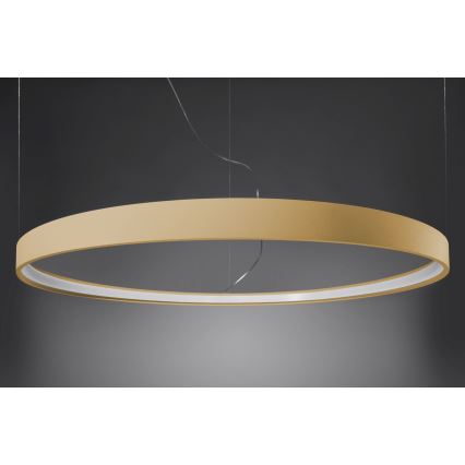 Thoro TH.174 - LED Hanglamp aan een koord RIO LED/50W/230V CRI90 3000K diameter 78 cm goud