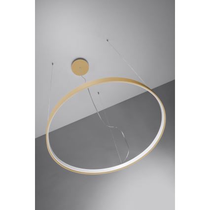 Thoro TH.174 - LED Hanglamp aan een koord RIO LED/50W/230V CRI 90 3000K diameter 78 cm goud