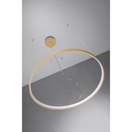 Thoro TH.174 - LED Hanglamp aan een koord RIO LED/50W/230V CRI90 3000K diameter 78 cm goud