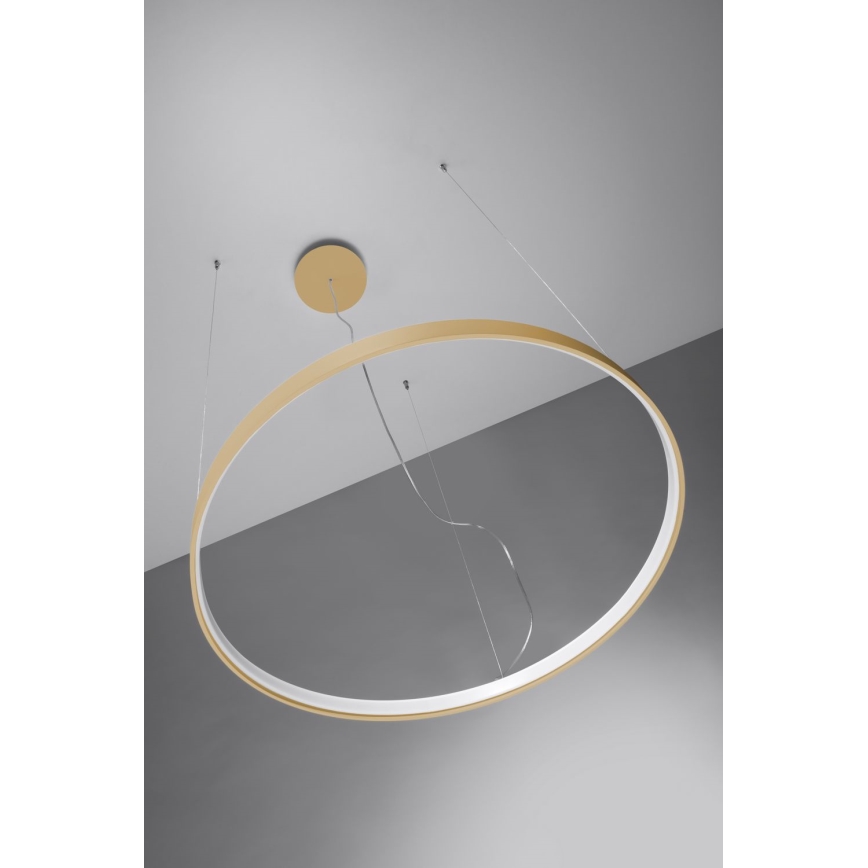 Thoro TH.174 - LED Hanglamp aan een koord RIO LED/50W/230V CRI 90 3000K diameter 78 cm goud